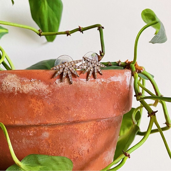 JCrew stud earrings, very cute! Served me well, time to switch it up - Picture 1 of 3